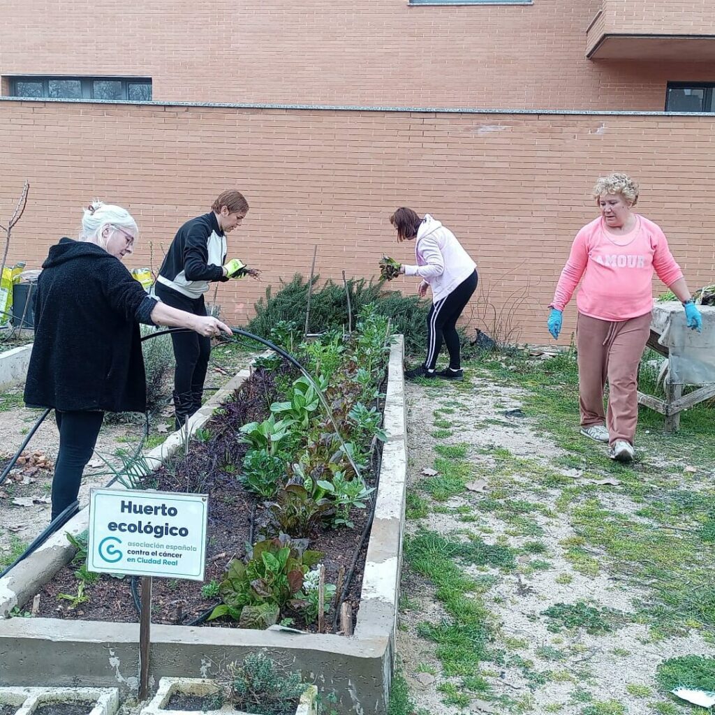 huerto urbano ecologico