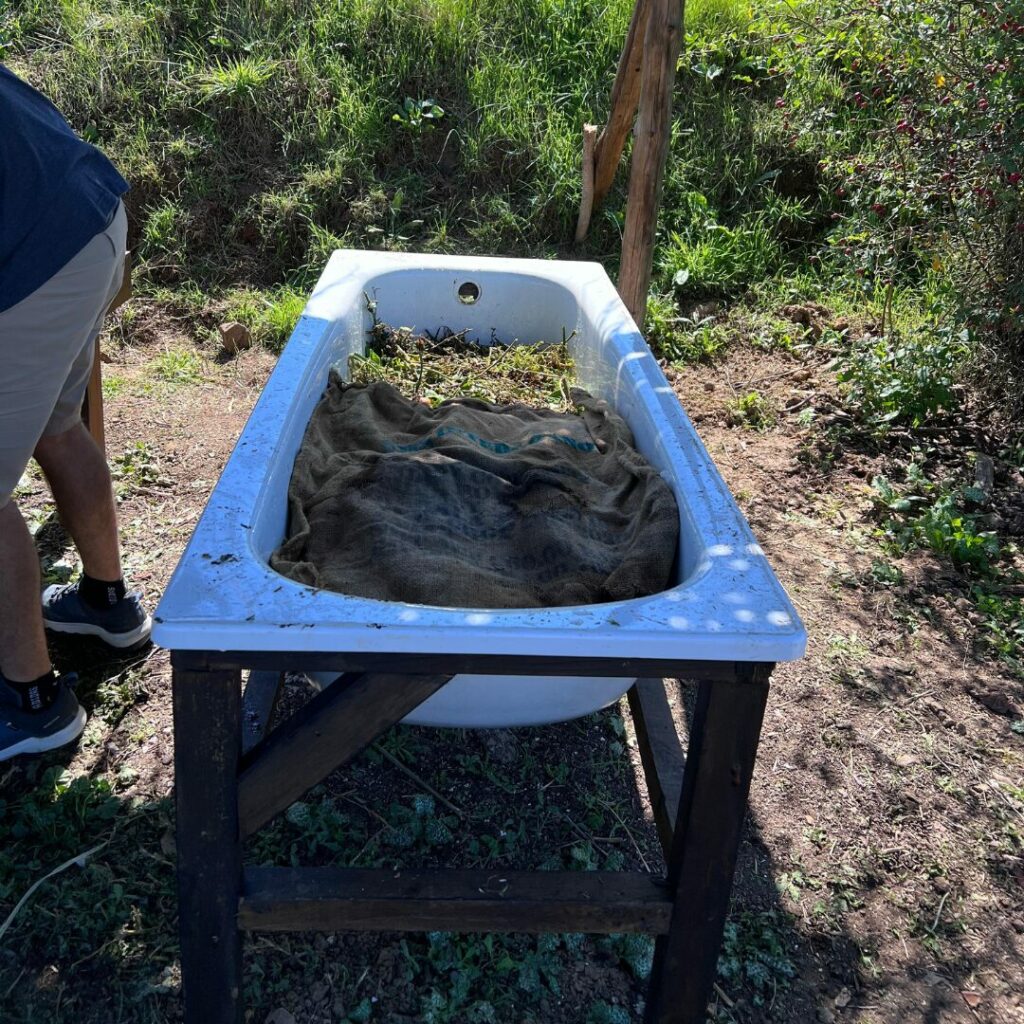 lombricompostera en bañera