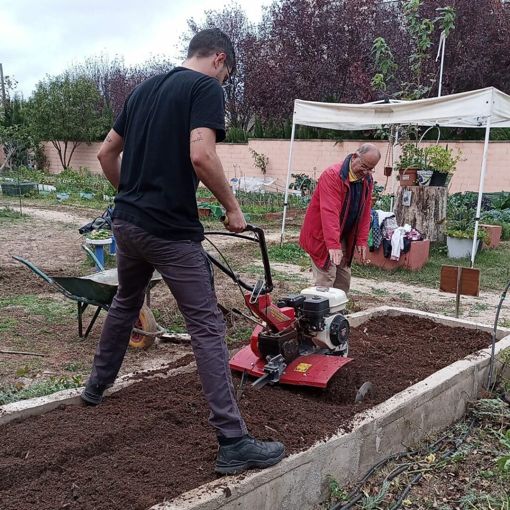 huerto urbano ecologico